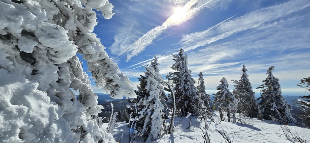 Lusen (Bayerischer Wald)